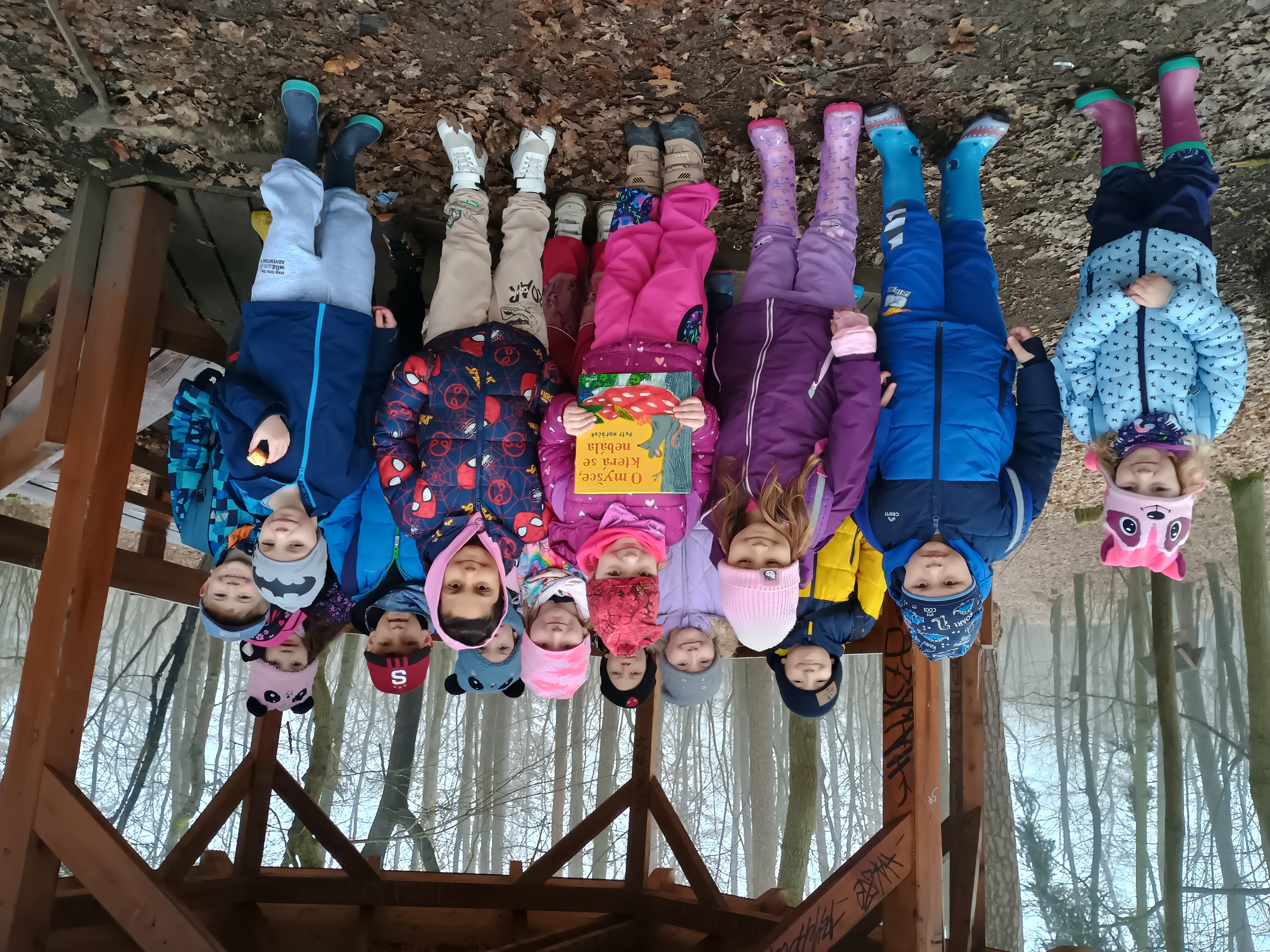 Medvědi čtou venku 